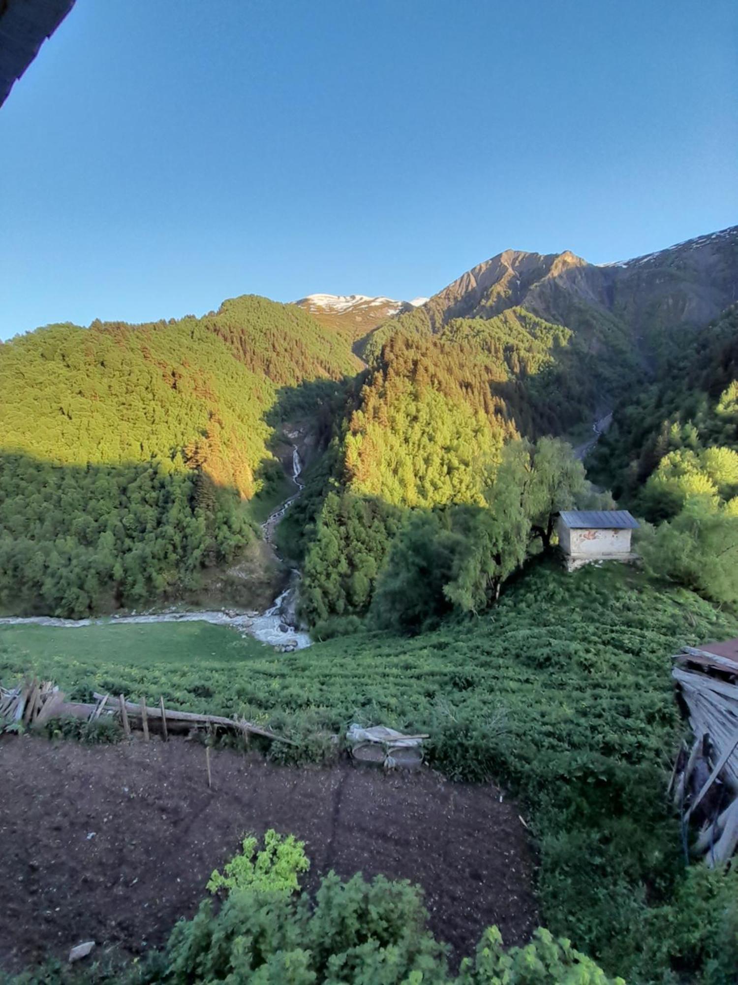 Adishi Guest House Zhora Kaldani 外观 照片