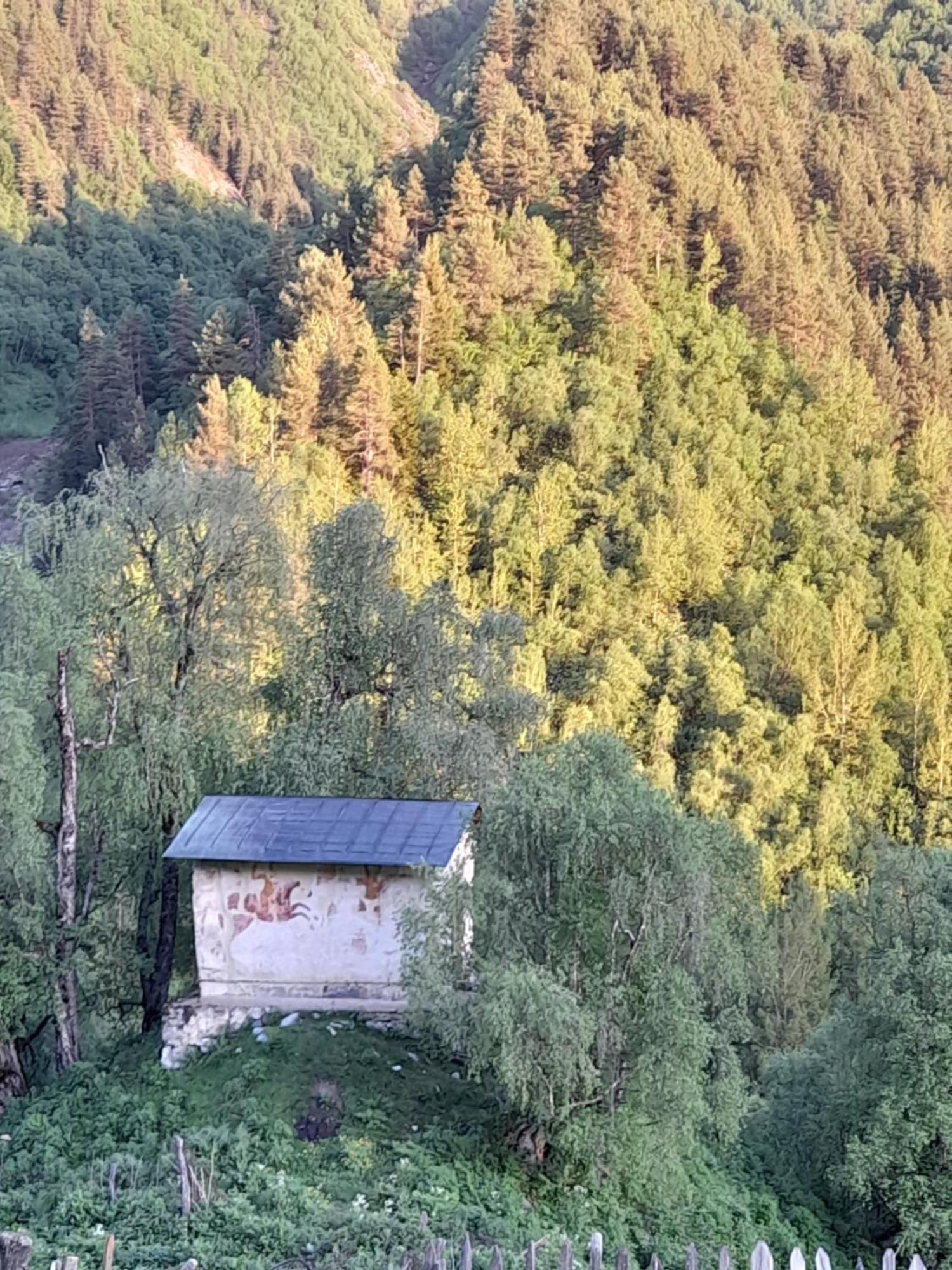 Adishi Guest House Zhora Kaldani 外观 照片